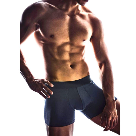 FANCIES Boxer Briefs Micromodal Boxer Briefs in Anthracite