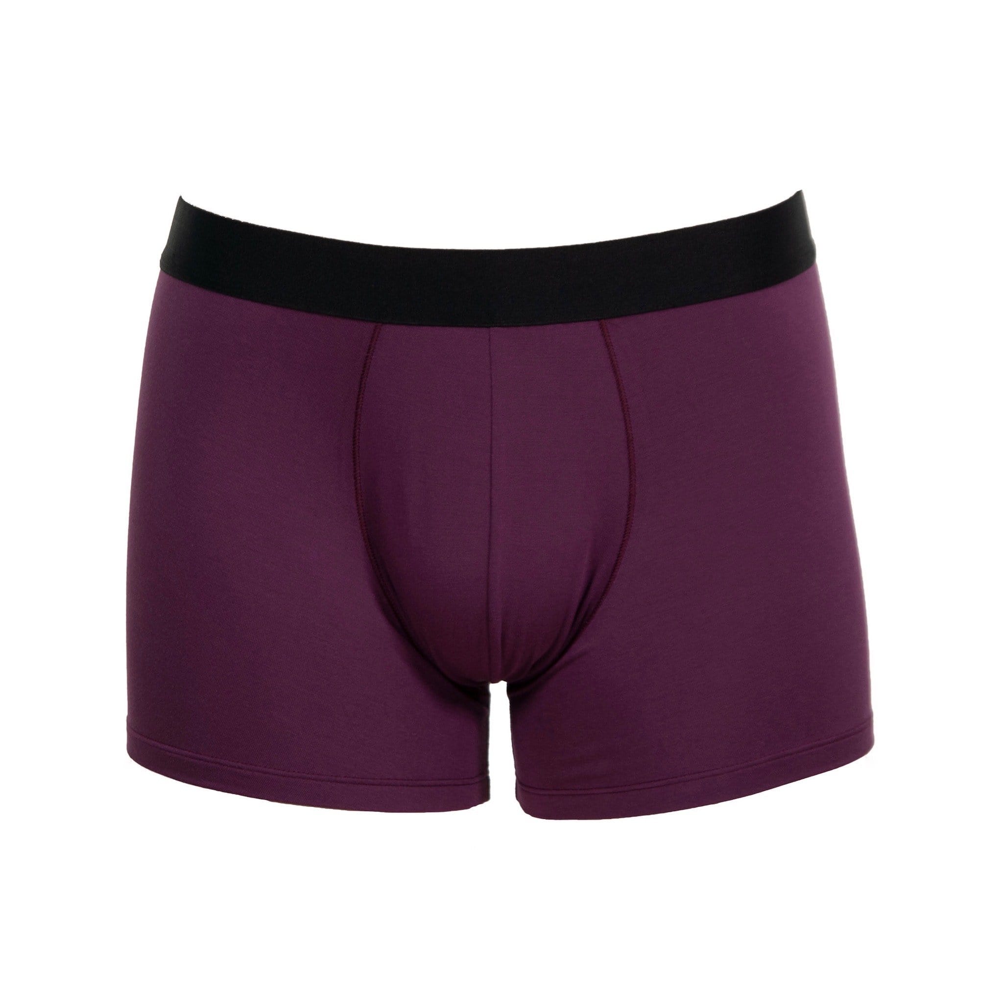FANCIES - Micromodal Boxer Briefs in Anthracite