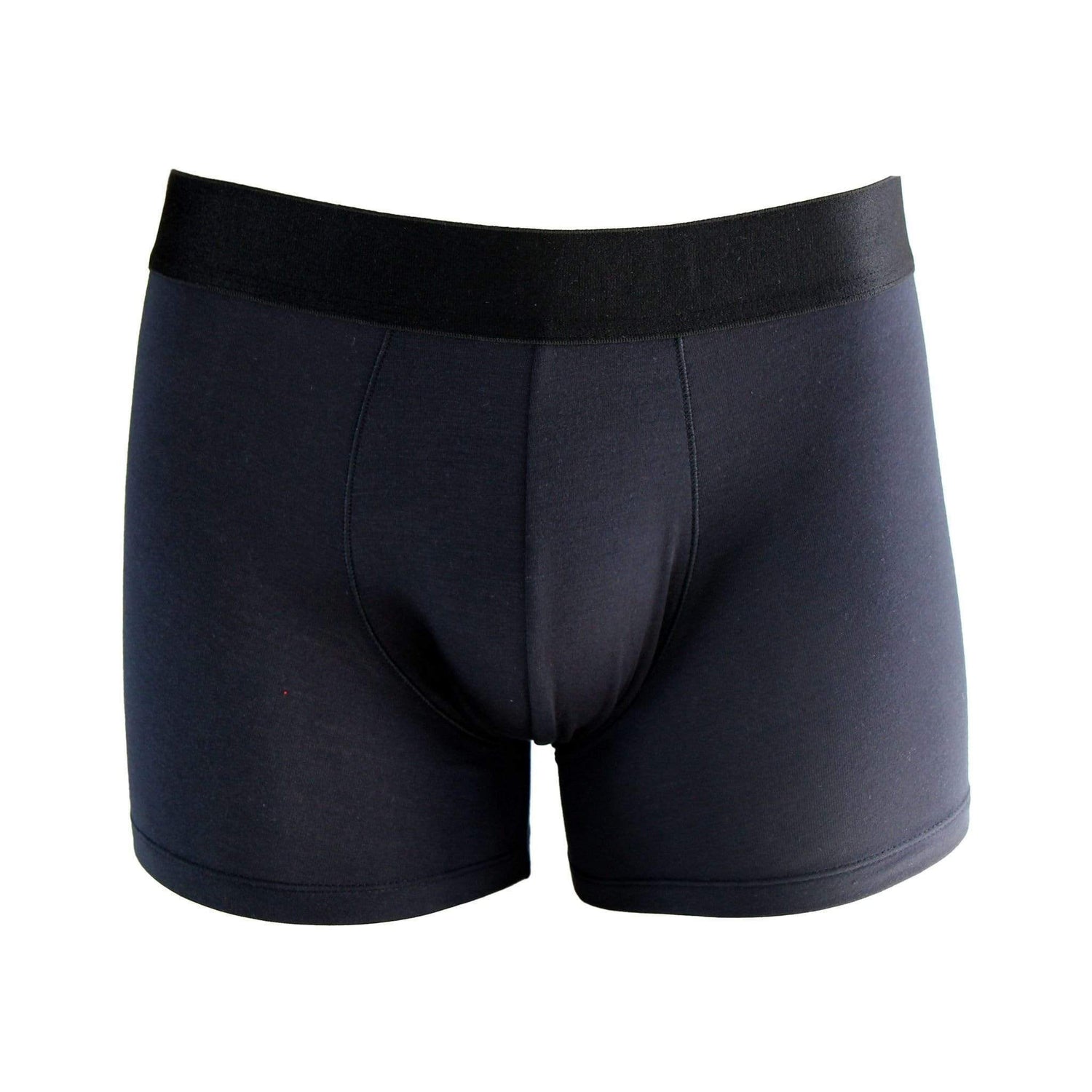 FANCIES Boxer Briefs Micromodal Boxer Briefs in Anthracite
