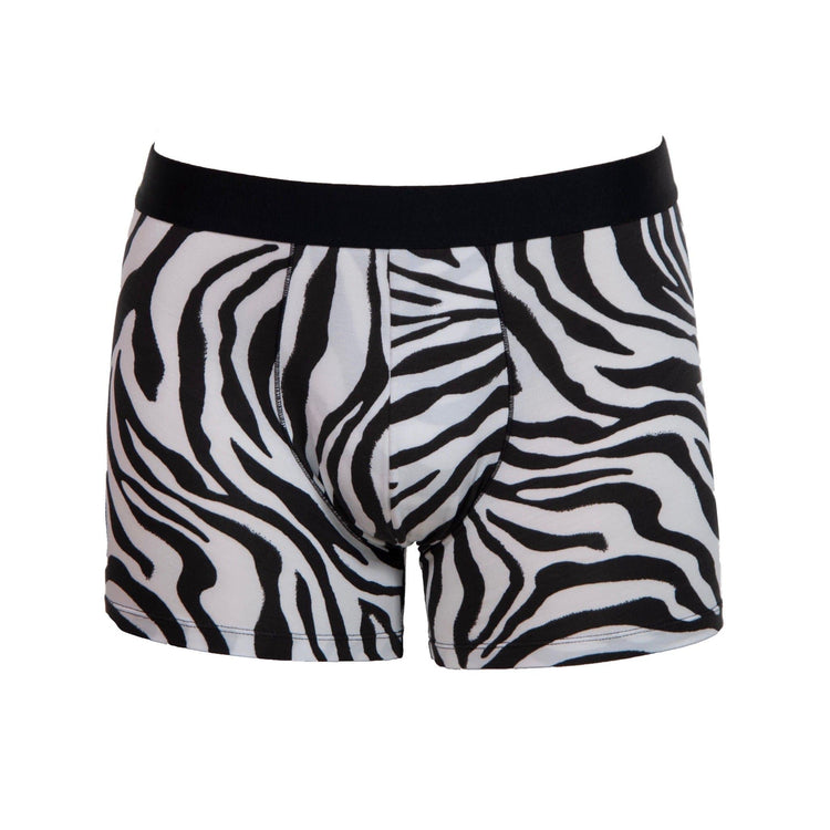 FANCIES Boxer Briefs Micromodal Boxer Briefs in Zebra